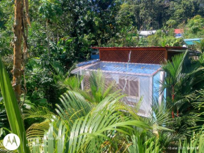 El Tucán Feliz I La Casita Caribeña
